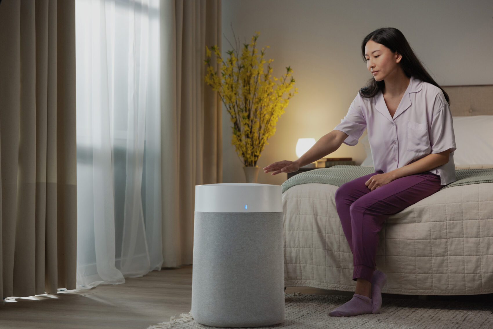 BA Air purifier small 2