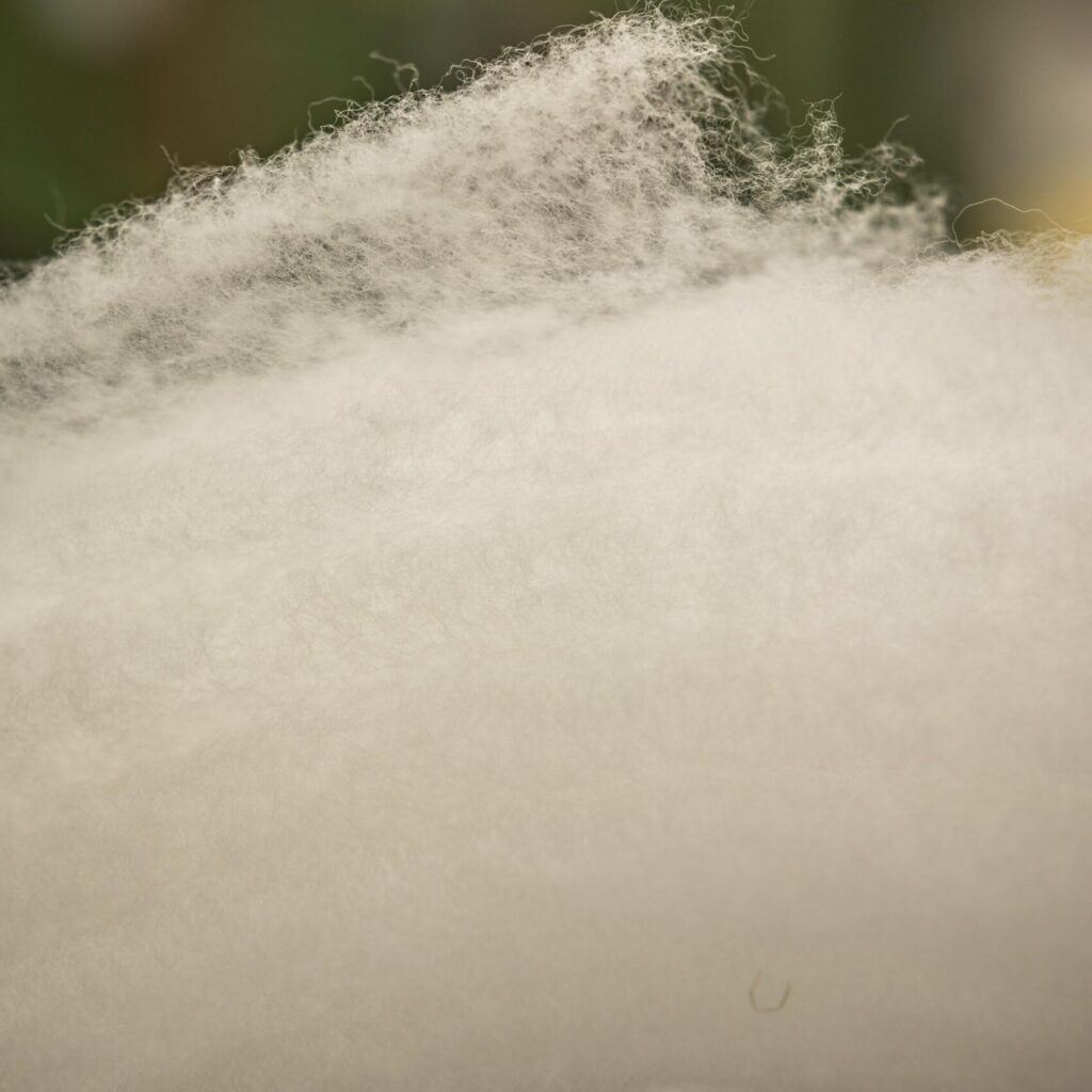 Lanaco wool fluff close